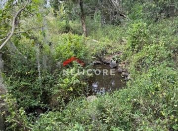 Rural de 1 quarto, Igrejinha · Chácara em Igrejinha - Nova Aurora - Igrejinha/RS