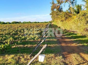 Imagem 1 · Fazenda para venda em Centro, Casa Nova