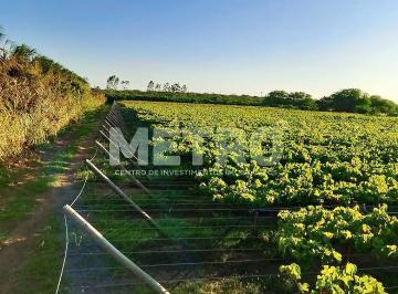Imagem 1 · Fazenda