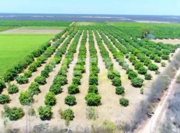 Imagem 1 · Fazenda