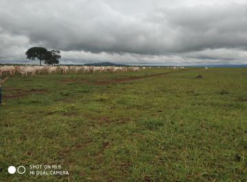 202501281247192663.jpg · Sítio à venda no bairro Area Rural em Miranda/MS