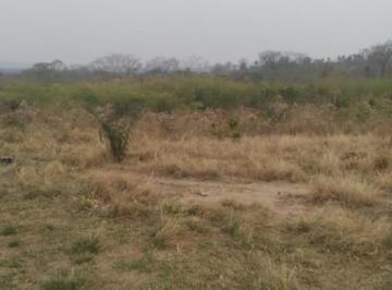 202501281236206367.jpg · Sítio à venda no bairro Rural em Miranda/MS