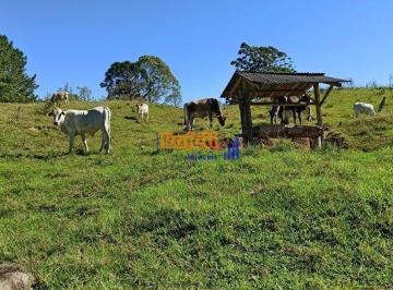 nu3cdytrgyykwmvpdcm4cydq2s2pt5ahzvop8nzfsu2owzlmdaxnzeyowm5_md · Propriedade,  Area, Terreno  Rural  Marjor Gercino, 75 hectares  muita pastagem