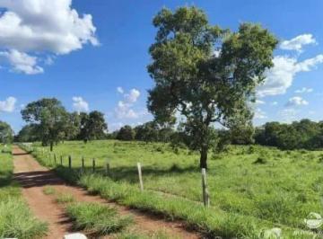 Imagem 1 · Fazenda