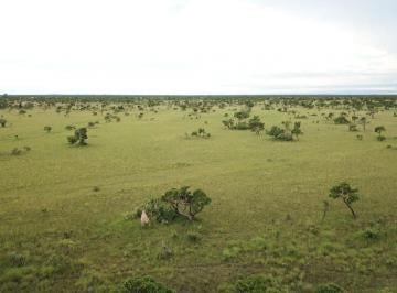 0eab777b0a0237aeac25f259e7cd9342884301f0 · Fazenda gigante 83 mil Hectares a venda em São Felix do Araguaia no Mato Grosso!