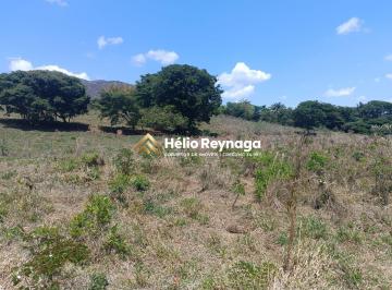 Terreno · 2ha · Terreno de 2 Hectares com Vista para a Serra de São José – Acesso a Prados/MG