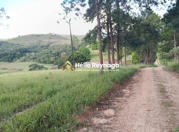 Rural · 45ha · 4 Quartos · Oportunidade Rara: Fazenda de 45 Hectares com Alto Potencial de Lucro Próxima ao Trevo de Coroas