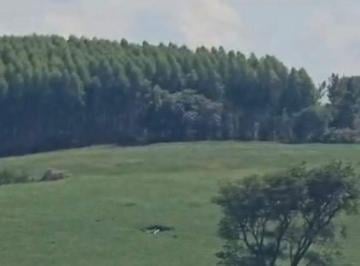 Rural , Itapetininga · FAZENDA REGIÃO ITAPETININGA