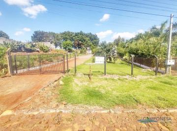 53ac23e225b1d182aaf476ae2306fe360786b671 · Chácara com 4 dormitórios à venda, 1250 m² por R$ 320.000,00 - Fazenda Nata - Londrina/PR