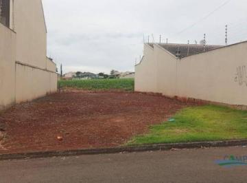 538bc560e4b57252e05851381a95a6af1f7b4775 · Terreno à venda, 250 m² por R$ 320.000,00 - Parque Residencial João Piza - Londrina/PR