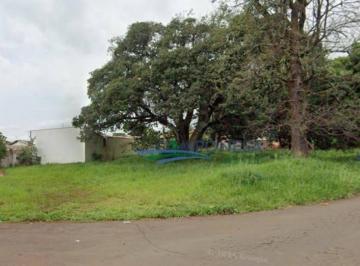 e5625527a45679e5d2c3f4853ce2a7d6bb0d0946 · Terreno à venda, 1027 m² por R$ 821.600,00 - Conjunto Habitacional Maria Cecília Serrano de Oliveira