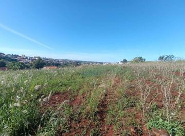 e4b6d3155e1c16bc3b63f4fe6a0a9e5c7356cf5e · Chácara à venda, 1750 m² por R$ 185.000,00 - Zona Rural - Assaí/PR