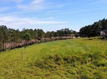 f67165daa0e1213948ff3a504e45199e72571336 · Chácara à venda, 22000 m² por R$ 500.000,00 - Jardim União da Vitória II - Londrina/PR