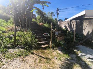 101201_39-1_101007.jpg · LOTE R$ 65.000,00 FLORESTAL
