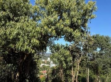 Foto 01 · Terreno, Morro das Batatas, Feliz, RS