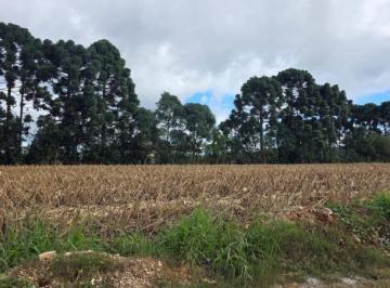 Foto 05 · Terreno, Centro, Campo Magro, PR