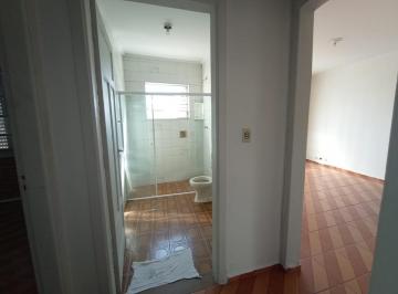 IMG_20260609_105326_000.jpeg · Excelente casa para locação em Santa Teresinha com 2 quartos, 192m² - silvanaguirelli#BI2IZ