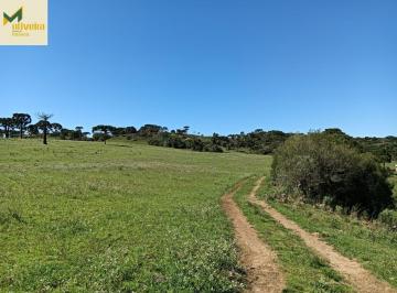 Rural · 240ha · Fazenda mista junto ao no Distrito de Cazuza Ferreira!!