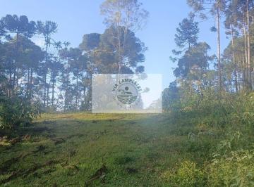 Rural · 20000m² · 1 Quarto · 1 Vaga · Terreno para sitio com lindas araucarias, riacho, nascente, boa parte limpa, aceita carro e parcela