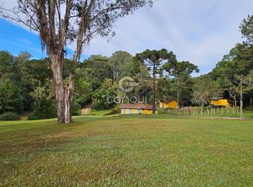 Rural · 45000m² · 5 Quartos · CHÁCARA DE 45.000m² EM SÃO JOSÉ DOS PINHAIS –