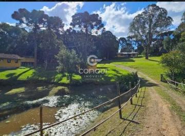 Rural · 45000m² · 5 Quartos · CHÁCARA DE 45.000m² EM SÃO JOSÉ DOS PINHAIS –