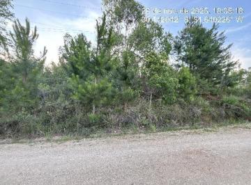 Photo_0 · 
                Oportunidade Única em ELDORADO DO SUL - RS | Tipo: Terreno | Negociação: Venda Dire