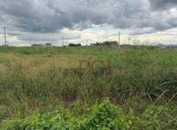 74ff5a6672ee34c88ea2ec62f6d06026dbcb0baf · Terreno à venda, 254 m² por R$ 137.800 - Conjunto Residencial Sao Fernando - Ribeirão Preto/SP