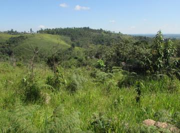 Terreno , Campo Limpo Paulista · Lindo lote em área urbana