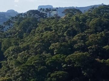 Terreno , Santo Antônio do Pinhal · terreno com vista para Pedra do Bau