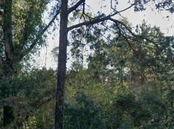 Rural  Venda R$ 9.500.000 · Rurais de 82 ha à venda em Passos dos Ferreiros