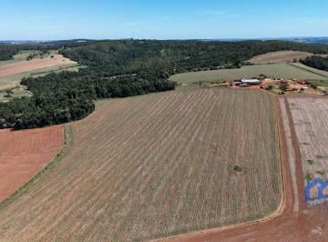 Foto 01 · Sítio/Fazenda à Venda, 80 alqueires por R$ 22.000.000 Cód. ch2721