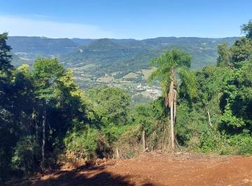 Terreno · 20000m² ·
Área de terra bairro Morro Hansen, Picada Café.RS