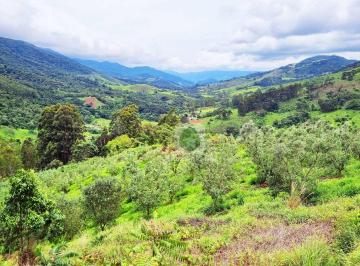 5573bac75f4e85290959d53c6a5e4793b9effef9 · Terreno alto de montanha com 1.500 pés oliveira produzindo à venda, 72600 m² por R$ 1.650.000 - Pai