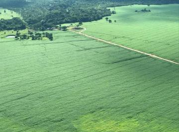 Imagem 1 · Fazenda