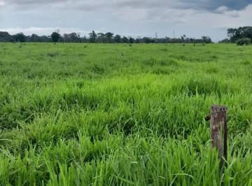 Imagem 1 · Fazenda