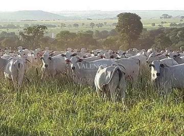 Imagem 1 · Fazenda