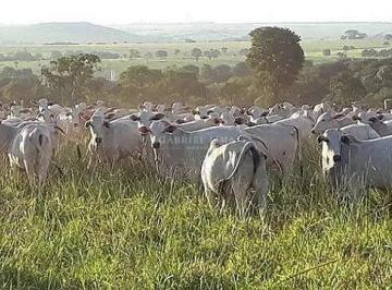 Imagem 1 · Fazenda