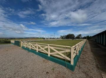 Imagem 1 · Fazenda