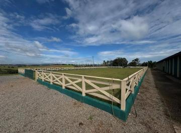 Imagem 1 · Fazenda