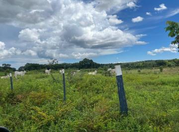 Imagem 1 · Fazenda