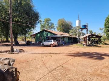 Imagem 1 · Fazenda
