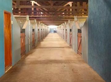 Imagem 1 · Fazenda
