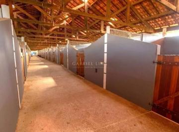 Imagem 1 · Fazenda para venda em Centro, Quadra