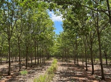 Imagem 1 · Fazenda
