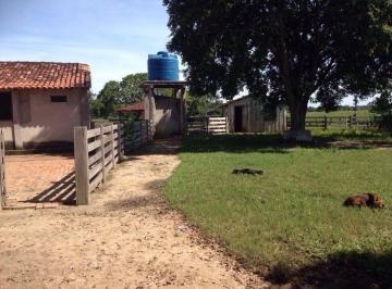 Imagem 1 · Fazenda