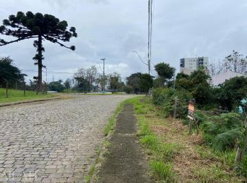 31083750_g.jpg · 
                                Terreno no bairro Desvio Rizzo
                            