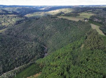 41782073_g.jpg · 
                                Chácara com 12,6 hectares em Vila Oliva, Caxias do Sul  
          