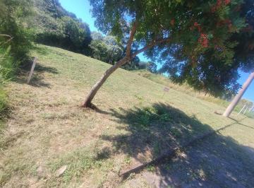 Terreno ·
Ótimos Terrenos planos sito no loteamento Santa Beatriz no São Luiz