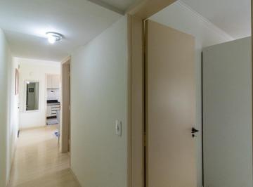 DSC_20260615_105028_000.jpeg · Elegante apartamento para venda em Parque São Domingos com 2 quartos, 41m² - remaxalcance#G80OW