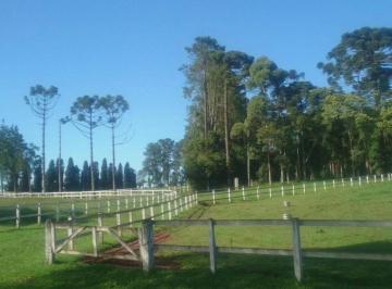 81728402285814.jpg · Imoveis - em Área Rural de São José dos Pinhais